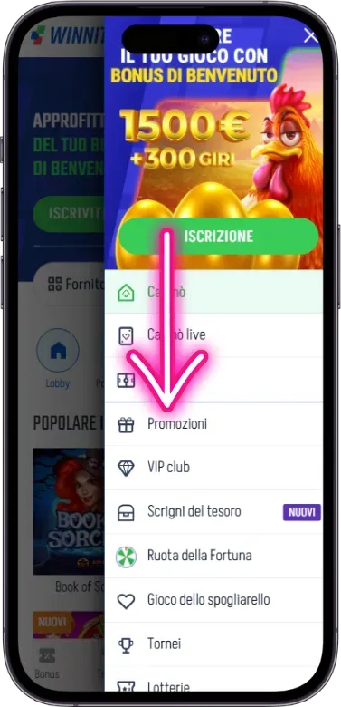 Vai ai bonus pagina Winnita